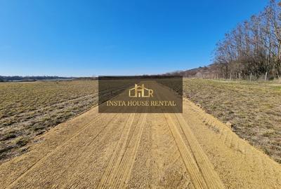 Teren Intravilan 1000mp / PUZ Aprobat / Constructie Mixta - 8