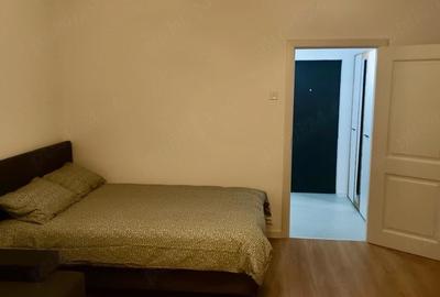 Garsonieră semidecomandată în Brazda lui Novac - 9