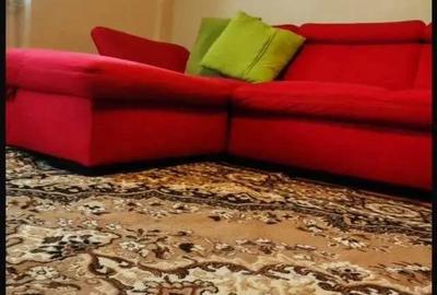 Inchiriere apartament 2 camere, , Etaj 4, lift, Ultracentral, Crinul Alb, Oradea. - 11