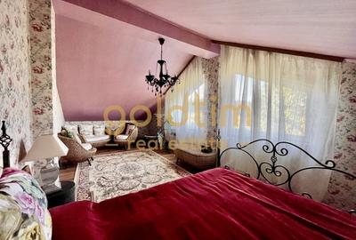 SUPERB/GRADINA/VEGETATIE MATURA/VILA INDIVIDUALA/PISCINA EXTERIOARA - 7