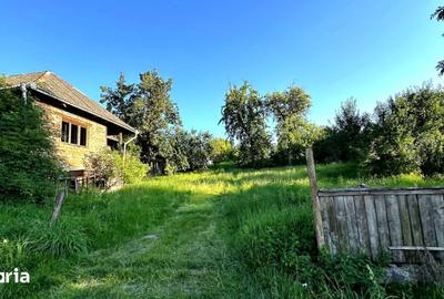 Casă cu 2 camere cu Teren 1700 Mp în Bârsana - 3