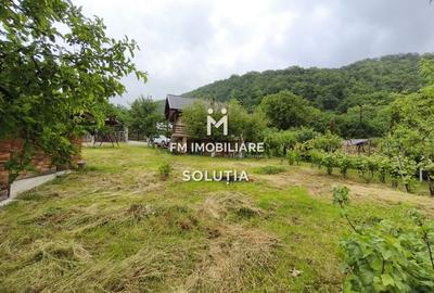 Casă P+1 de vânzare în Cicârlău – zonă superbă, 11 ari teren! - 16