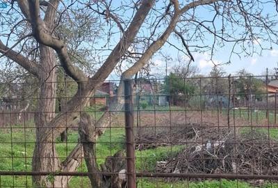 Teren de 1600 mp, în Central