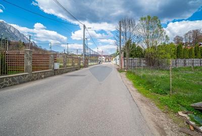 Teren intravilan 1.632 mp de vanzare in statiunea montana Busteni - 5