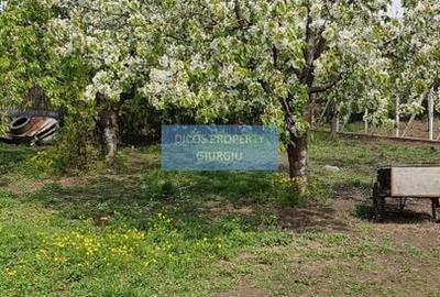 Teren 2.600 mp, utilități, Str. Merișor – Giurgiu - 12