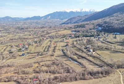 Teren Construcții intravilan de 4043 mp, în Predeluț - 37