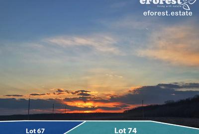 Terenuri premium de vanzare, langa padure, acces asfaltat din DN1A - 3