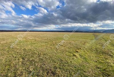 Parcela teren extravilan de 486 mp situat in Cristian - 2