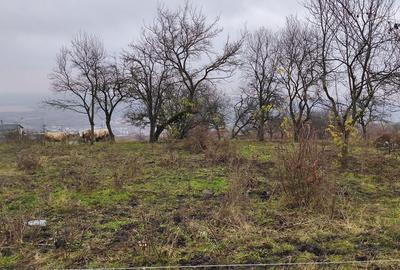 Casă cu 3 camere în Central - 3