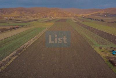 Teren agricol intravilan de 23600 mp, în Cășeiu - 2