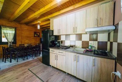 Casa de vacanta (Borzont, jud. Harghita) - 8