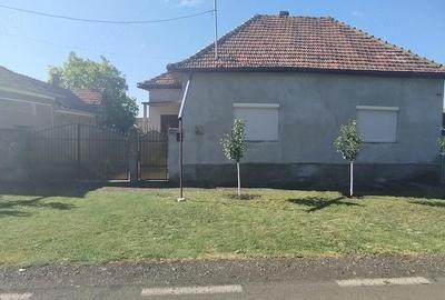 Casă cu 3 camere cu Teren 1440 Mp în Central - 4