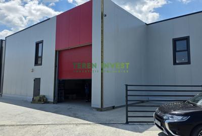 Spațiu industrial, în Theodor Pallady