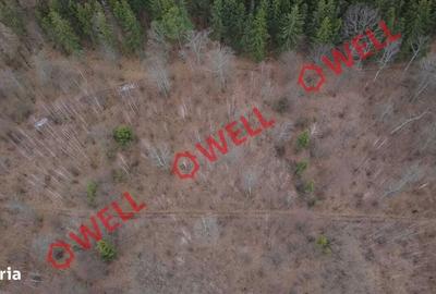 Spațiu comercial, în Dalnic - 3