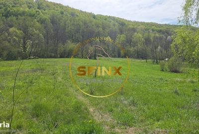 Spațiu comercial, în Furești - 5