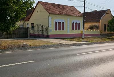 Casa stil baroc de vanzare , central pe strada principala (DN 6) ,o proprietate deosebita! - 1