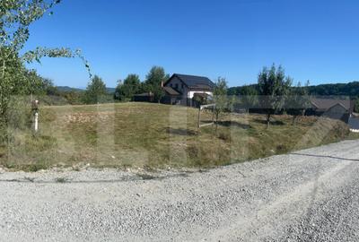 Teren de vanzare 925 mp, zona Valea Jelnei - 2