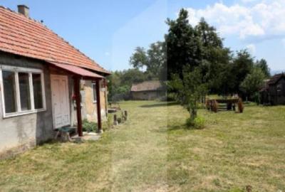 Casa taraneasca in inima naturii - 4