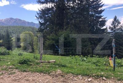 De vanzare, teren intravilan 5.500mp, Predeal - 15