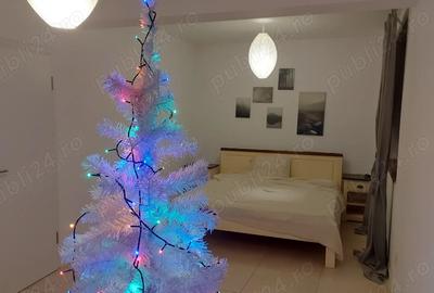 Casă cu 4 camere cu Teren 500 Mp în Bogdăneștilor - 7