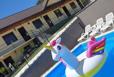 Vand pensiune clisura dunarii - 5