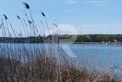 Spațiu comercial, în Săftica - 4