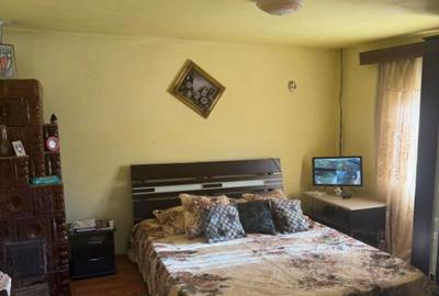 Casa 133 mp utili, 3300 mp teren, Ciutura - 1