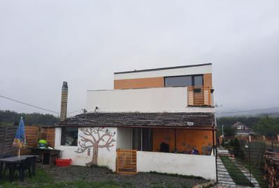 Casa individuala 4 camere in Salicea, 198 mp utili, teren 600 mp - 14