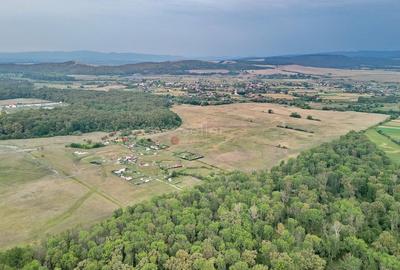 Teren Extravilan - 18