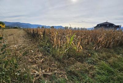 Teren intravilan Hateg - 1