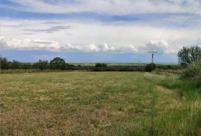 Teren de 6600 mp, în Pietroasele - 2