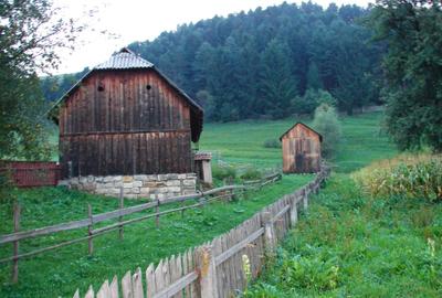 5283 mp TEREN INTRAVILAN IN ZONA TURISTICA MONTANA BUCOVINA, VAMA - SUCEAVA - 3