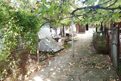 Casă individuală cu 14 camere cu Teren 1439 Mp în Brădișoru de Jos - 39