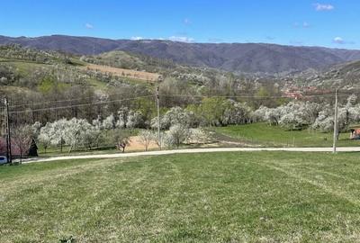 Teren de 1140 mp, în Armeniș - 8