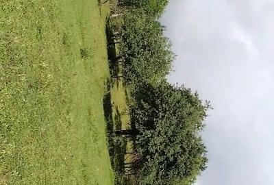 Teren extravilan de 7104 mp, în Șișești - 6