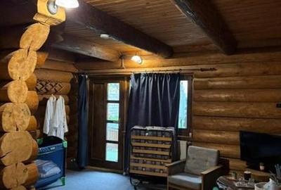 FILM! Resedinte montane,mobilate,echipate, jacuzzi,piscina,pretios areal,Sambata - 11