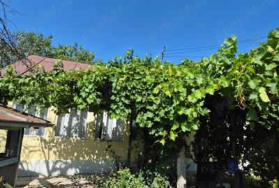 Casă cu 3 camere cu Teren 1000 Mp în Cotești - 2