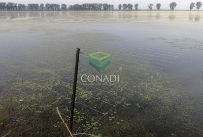 Teren agricol extravilan de 2270000 mp, în Ciocănești - 11