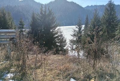 Teren de 1000 mp, în Colibița - 9
