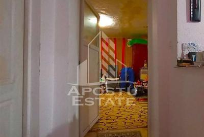 Casă cu 4 camere cu Teren 996 Mp în Dudeștii Noi - 7