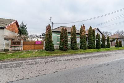 Casă individuală cu 3 camere cu Canalizare în Dorobanți - 11