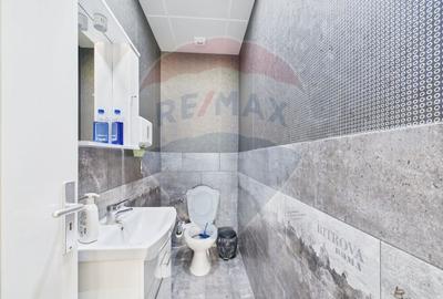 Spațiu industrial, de 472.66000366211 mp, în Theodor Pallady - 24