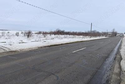 Spațiu comercial, în Pasărea - 4