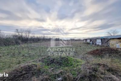 Casă cu 4 camere cu Teren 4414 Mp în Orțișoara - 5