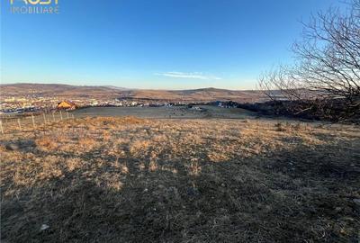 Teren intravilan zona
