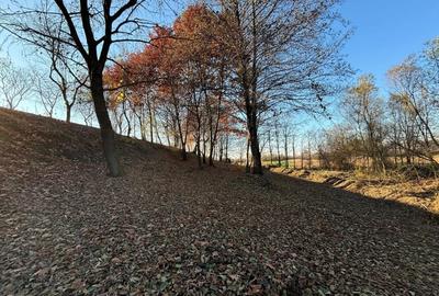 Teren cu balta de pescuit - 4