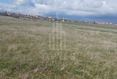 Teren intravilan 7.700 mp de vânzare | Zona Câmpșor - 3