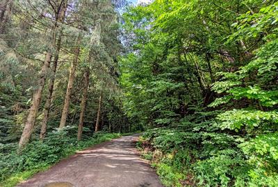 2,64 Ha TEREN SUPERB pe malul raului Crisul Repede padure parau NEGRENI - CLUJ - 24