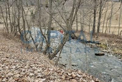 Cabana la munte Rucar / Satic - 24