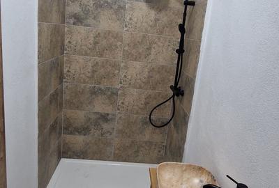 Spațiu comercial, de 113 mp, în Drumul Carului - 1